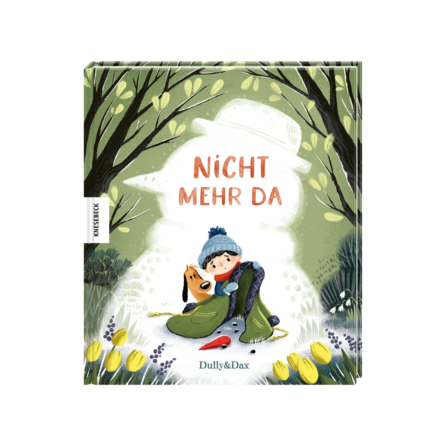 Buch: Nicht mehr da Kinderbuch Knesebeck Verlag
