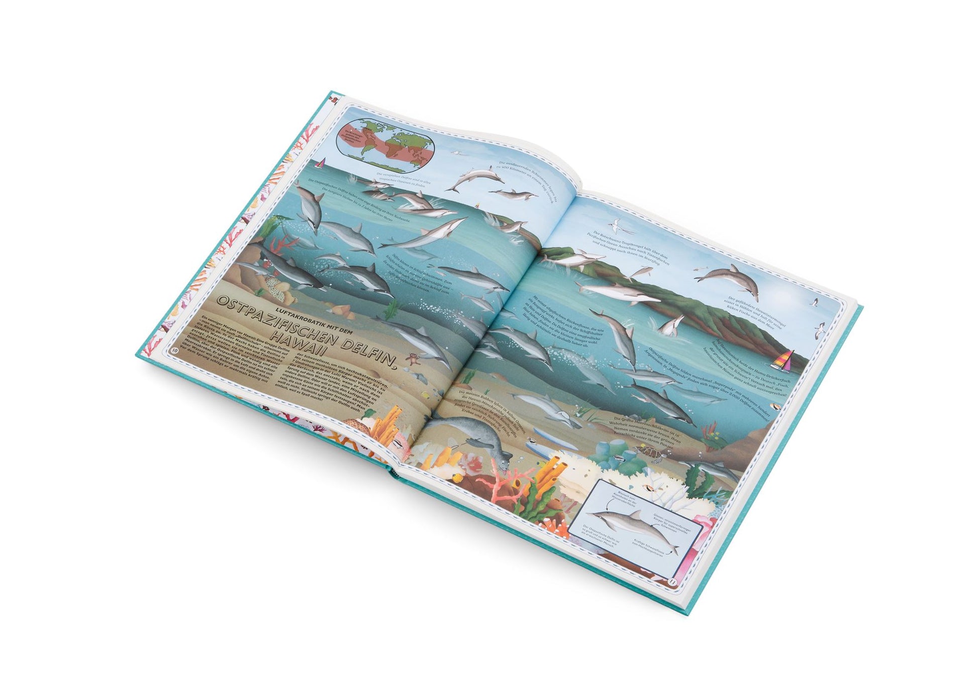Buch: Der Atlas der Ozeane Buch Gestalten Verlag