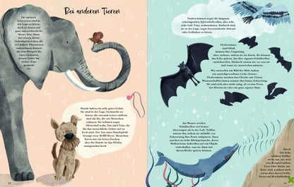 Buch: Mit allen sieben Sinnen Kinderbuch Knesebeck Verlag