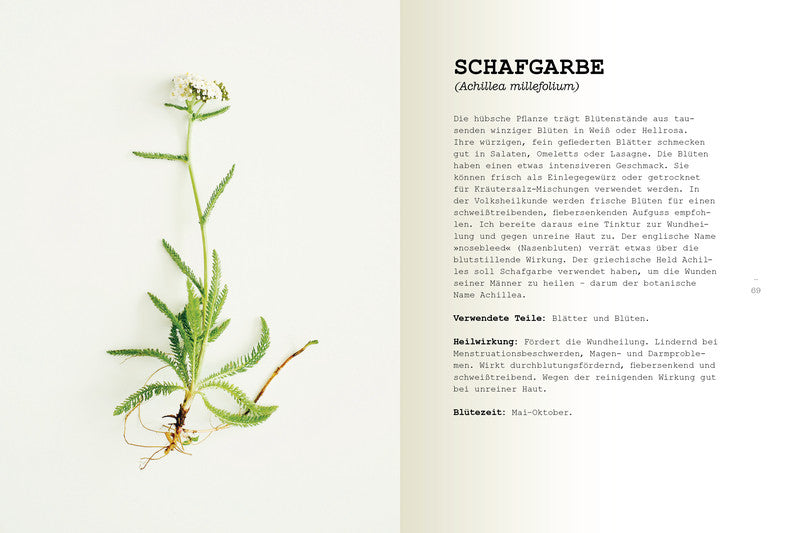 Buch: Wildpflanzen essen Buch Südwest Verlag