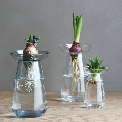 Vase für Hyazinthen und Ableger Vase KINTO
